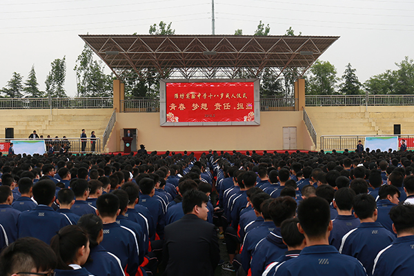 1231313.jpg